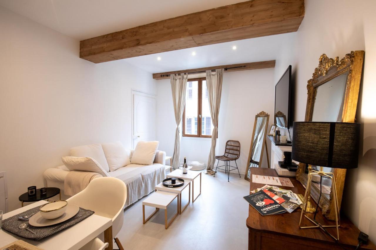 "L'Historique" - Charmant Appartement En Centre-Ville Historique Chambery Ngoại thất bức ảnh